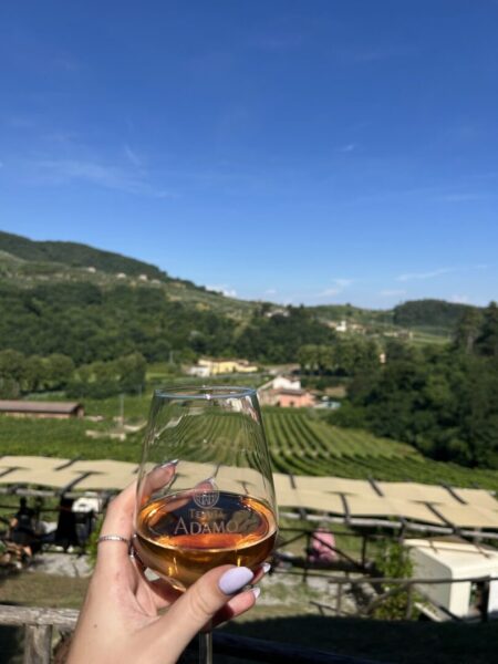 Wine country in Italy