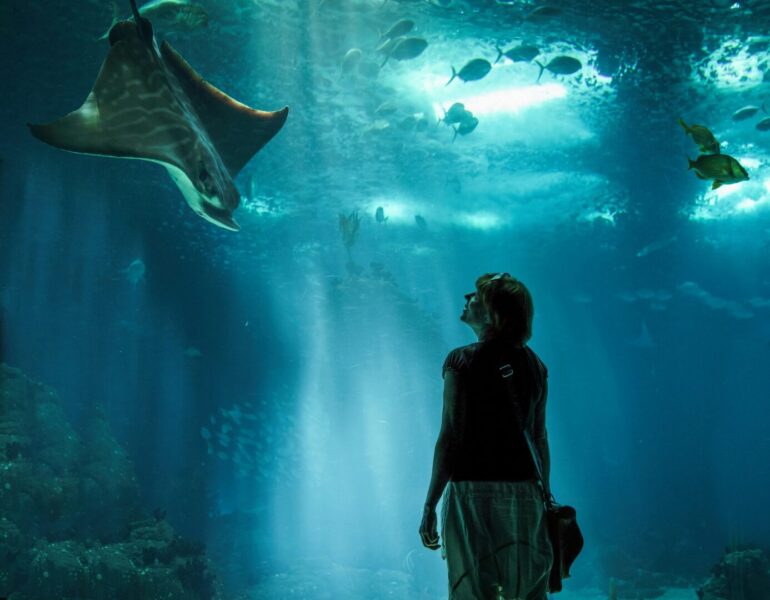 Things to Do in Cape Town Under R200 Budget-friendly activities in Cape Town under R200.