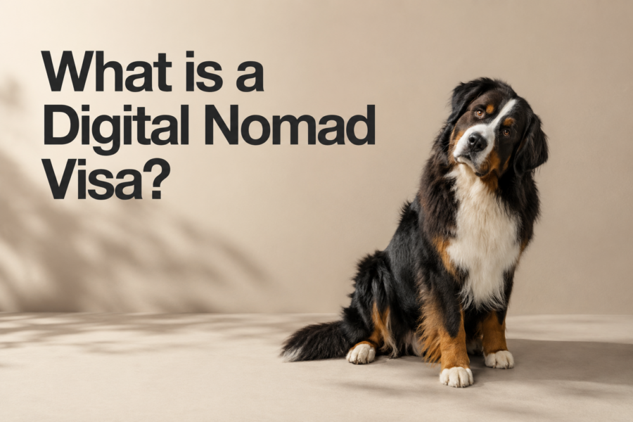 What is a digital nomad visa?