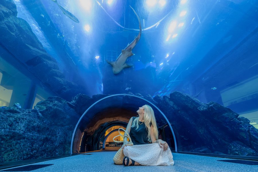 Dubai Aquarium