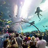 Atlanta Georgia Aquarium