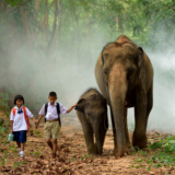 Bandung Juanda Forest Park