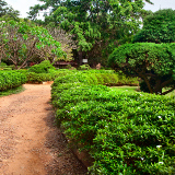 Bangalore Lalbagh Botanical Gardens