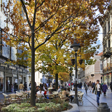 Belgrade Knez Mihailova Street