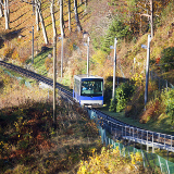 Bergen Mount Fløyen