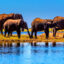 Botswana flights