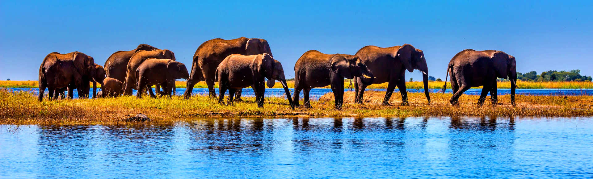 Botswana flights