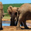 Bukoba flights