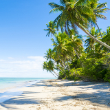 Cebu Mactan