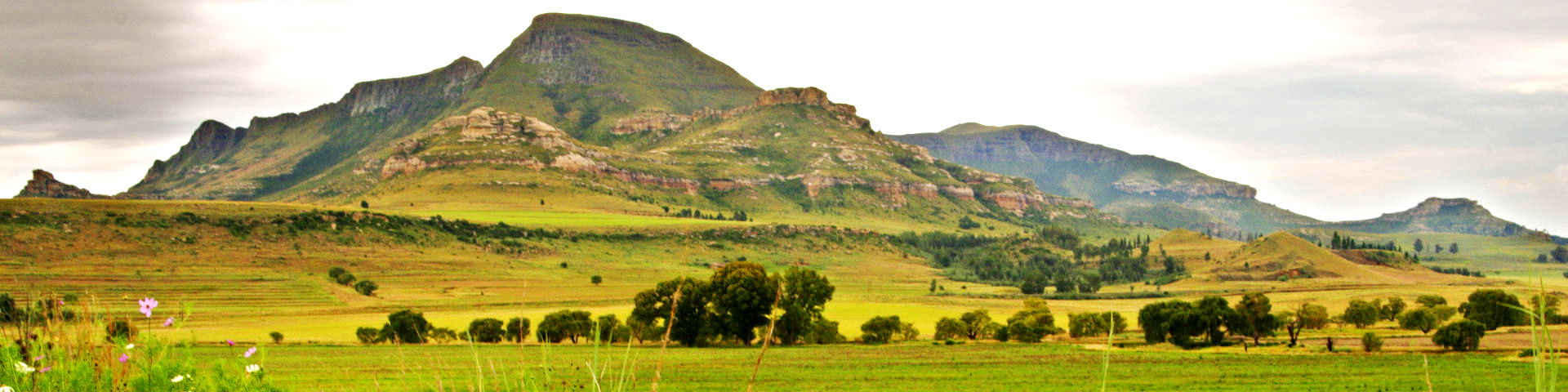 Bram Fischer International Airport (BFN) flights