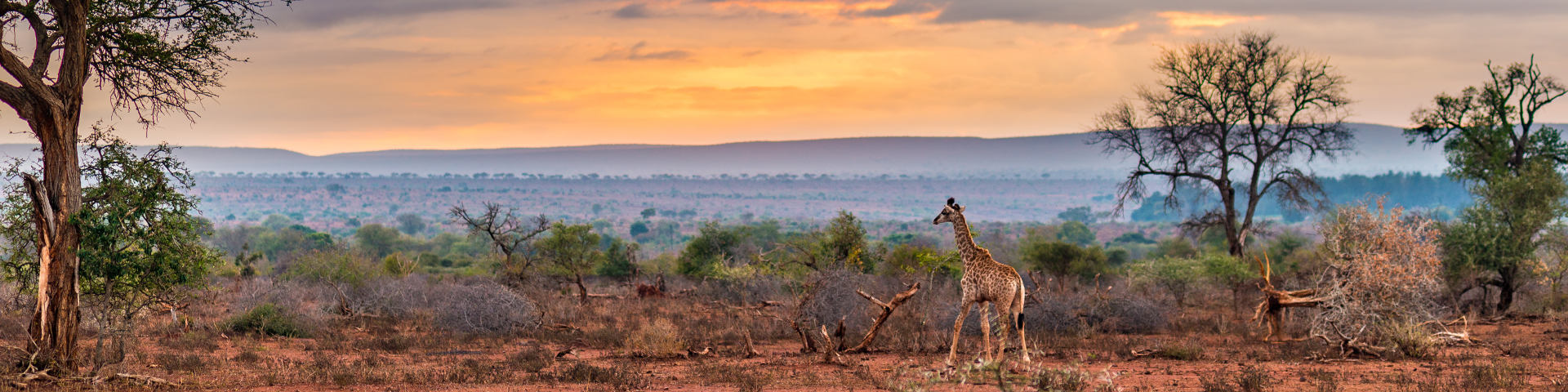 Kruger Mpumalanga International Airport (MQP) flights