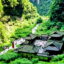 Chóngqìng flights