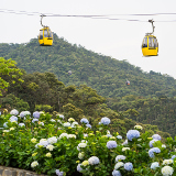 Da Nang Ba Na Hills