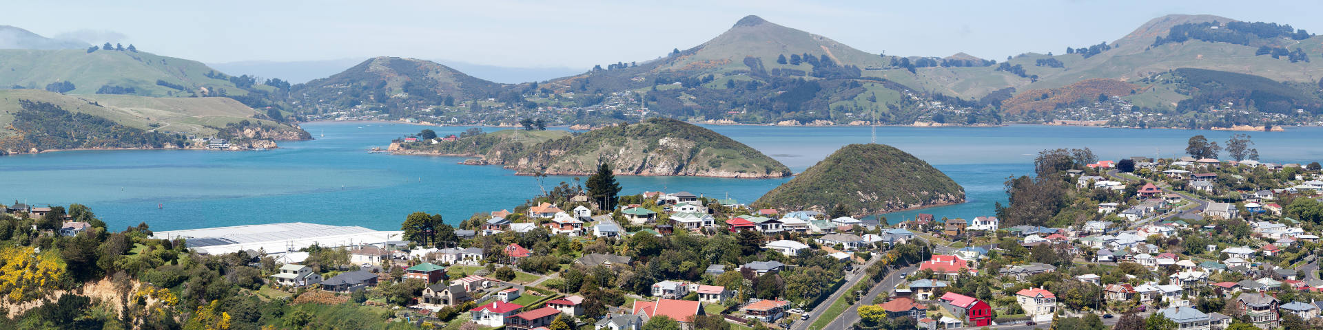 Dunedin flights