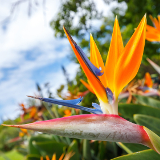 Durban Durban Botanical Gardens