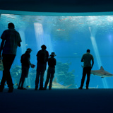 Eilat Underwater observatory