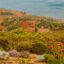 Eldoret flights