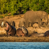 Gaborone Mokolodi Game Reserve