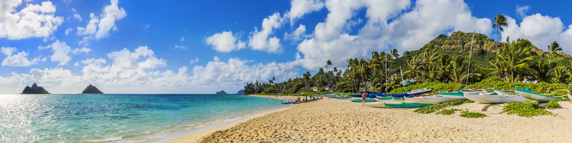 Hawaii flights