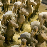 Jinan Shangdong Museum
