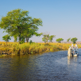 Kasane Chobe River Tours