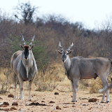 Katima Mulilo Bwabwata National Park