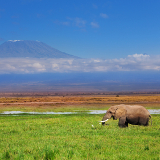 Kilimanjaro Kilimanjaro National Park