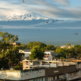Kilimanjaro Moshi