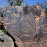 Kimberley Wildebeest Kuil Rock Art Centre