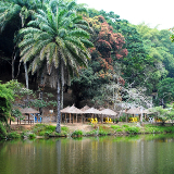 Kinshasa Lac De Ma Vallee