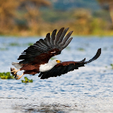 Kisumu Ndere Island National Park