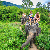 Koh Samui Elephant Trekking
