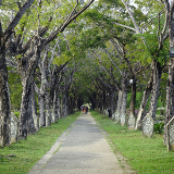 Langkawi Kilim Karst Geoforest Park