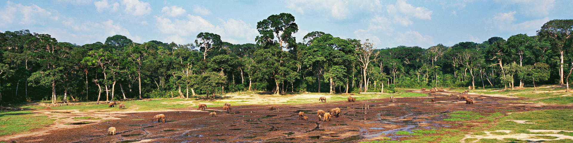 Libreville flights