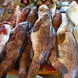 Lichinga Lichinga Market