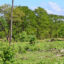 Lusaka flights