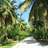Mahé Seychelles National Botanical Garden