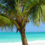 Malindi flights