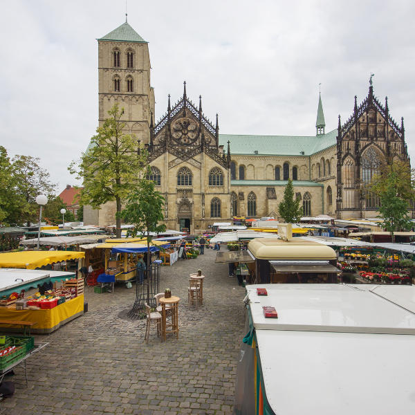 Wochenmarkt vor dem St.-Paulus-DOM in Münster, Nordrhein-Westfalen