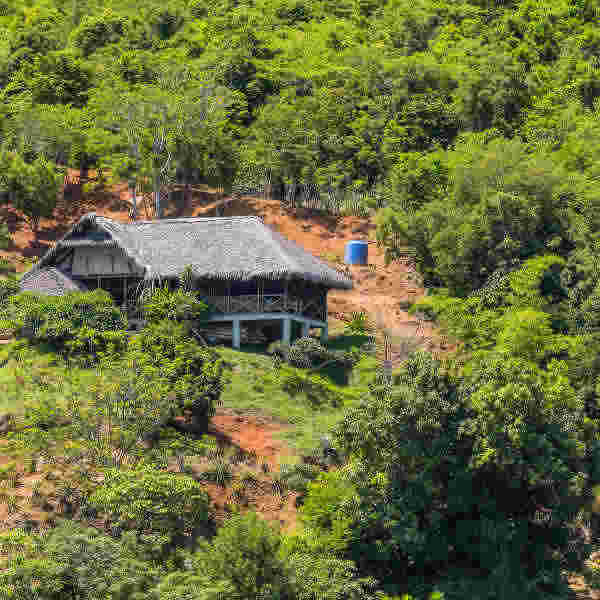Nosy Be Lokobe Nature Reserve