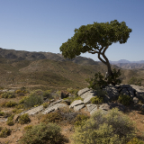 Oranjemund Richtersveld National Park