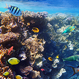 Orlando SeaWorld Orlando