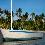 Pemba Dhow Sailing