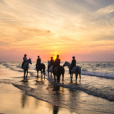 Pemba Romantic Horse Rides
