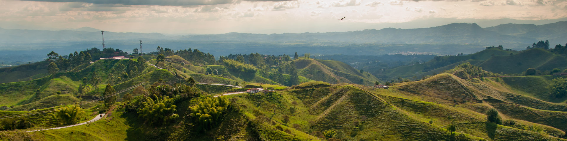 Pereira flights