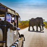 Phalaborwa Kruger National Park
