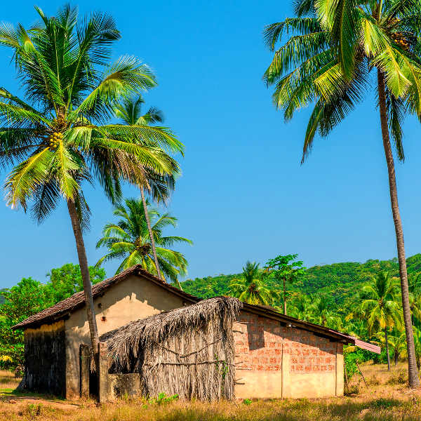 Quelimane Old Coconut Plantation