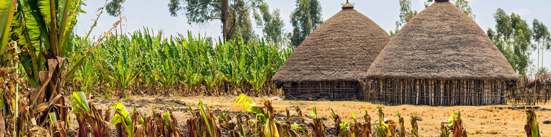 Addis Ababa flights