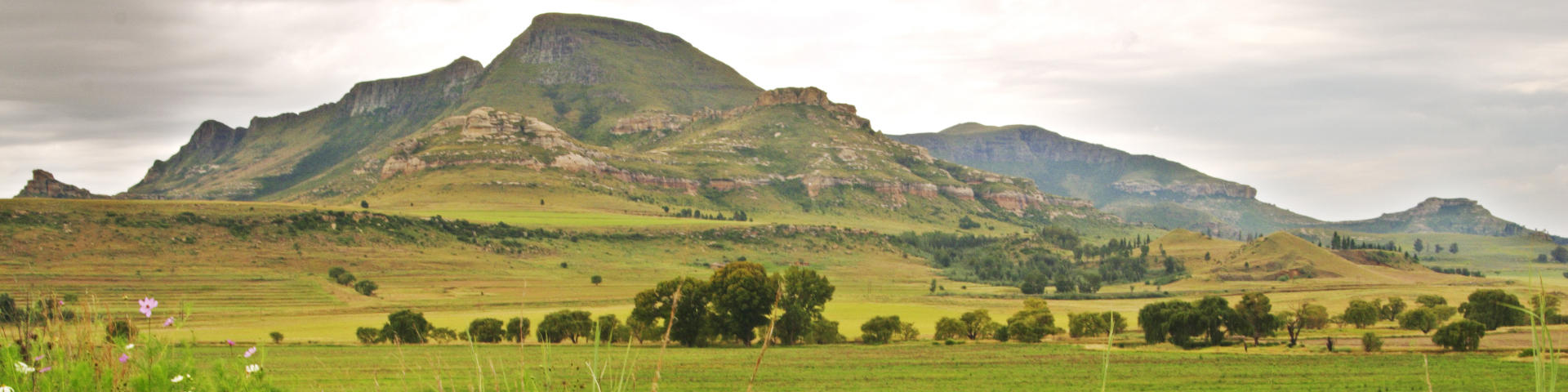 Bloemfontein flights