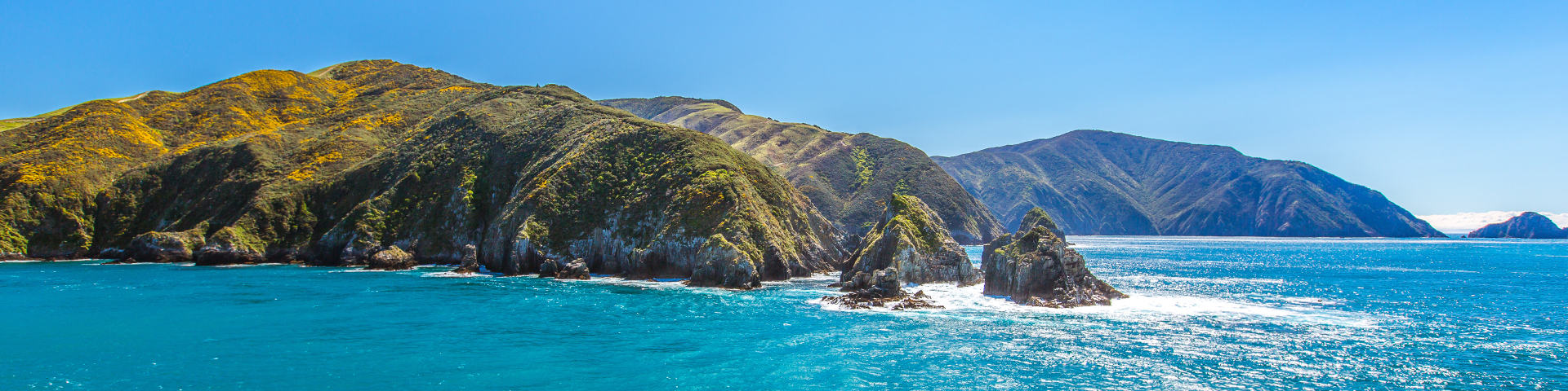 New Zealand flights